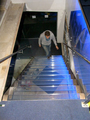 RVS trap glazen treden