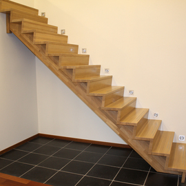 Houten middenboomtrap met verlichting
