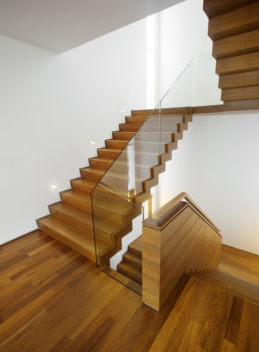 Dichte hardhouten Jatoba muizenboom designtrap