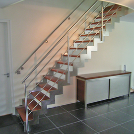 RVS stalen Z-trap met rvs stalen hek